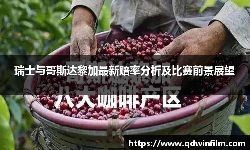 摩根体育